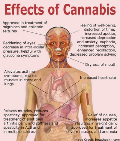 Effects Cannabis